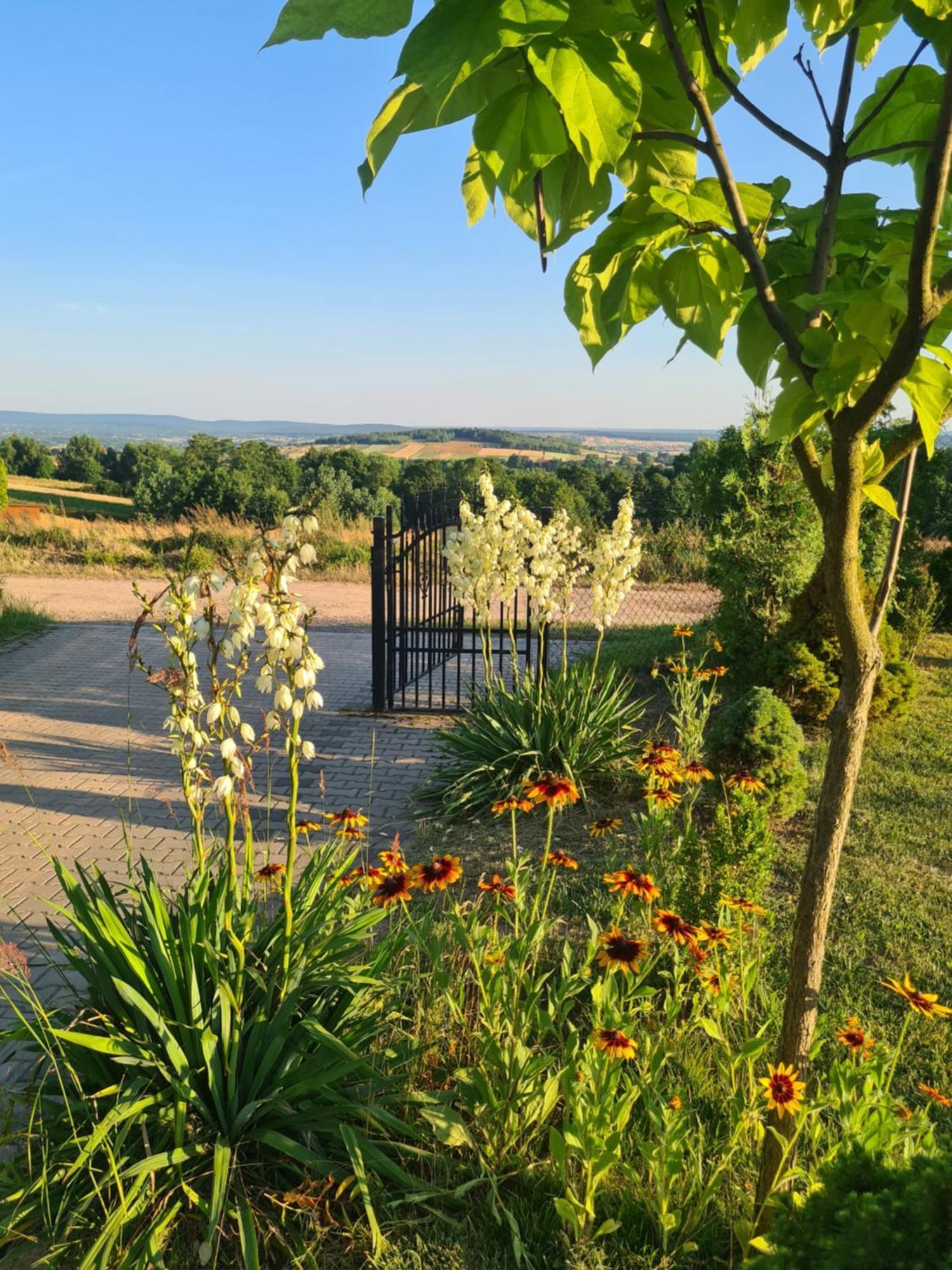 Gorskie Zacisze U Marzeny Krajno Pierwsze