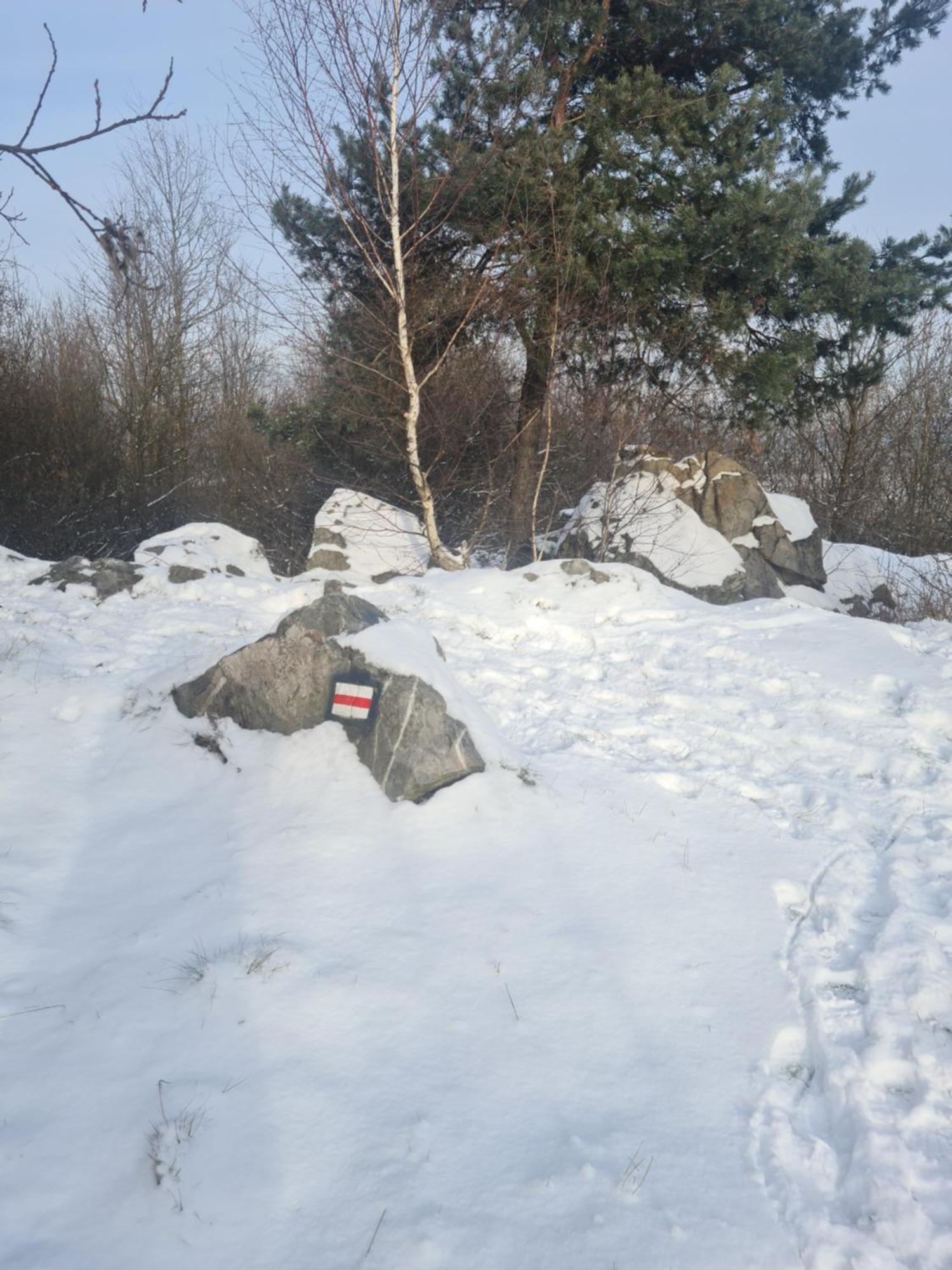 Gorskie Zacisze U Marzeny Privatunterkunft