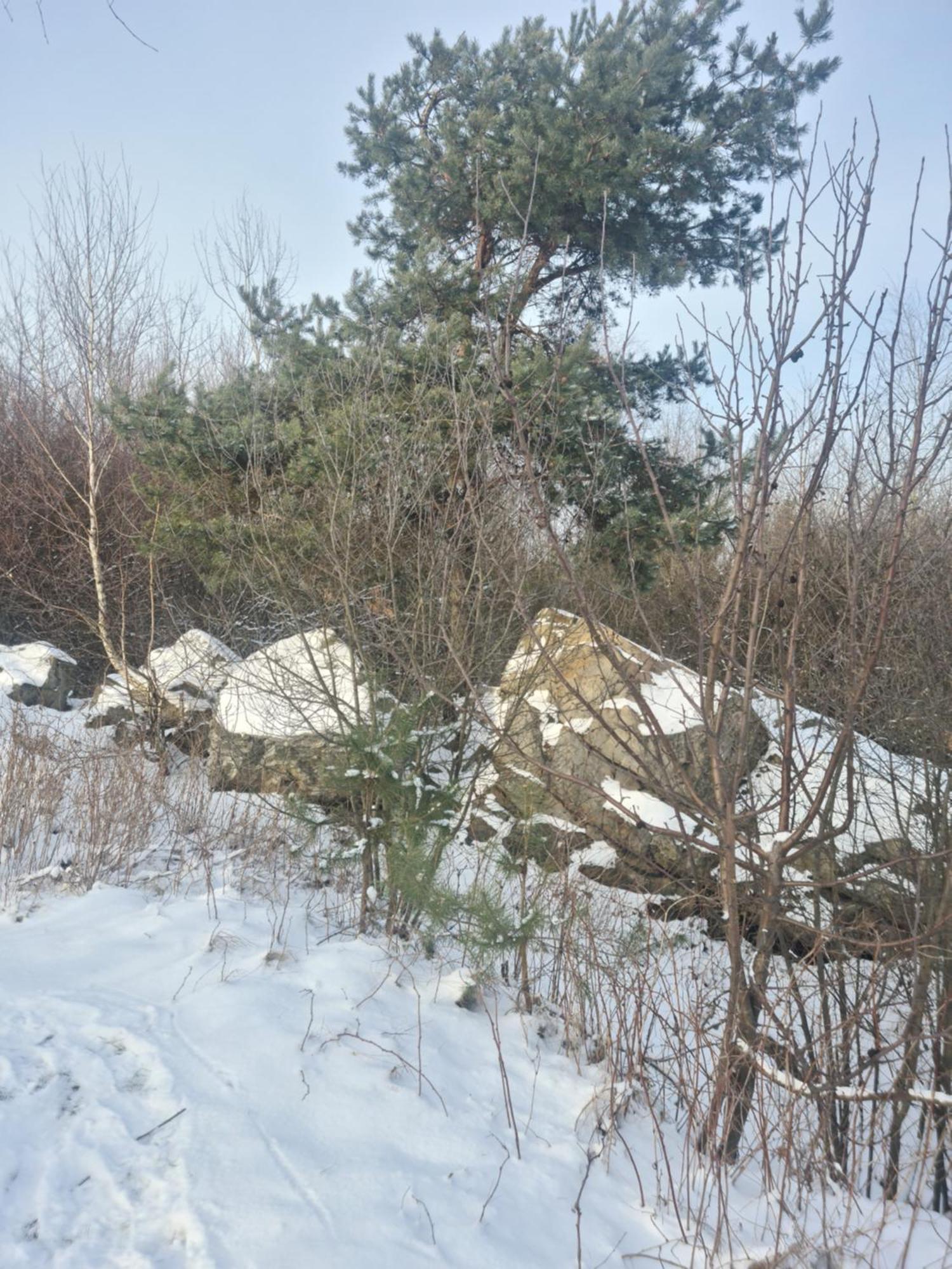Gorskie Zacisze U Marzeny Krajno Pierwsze