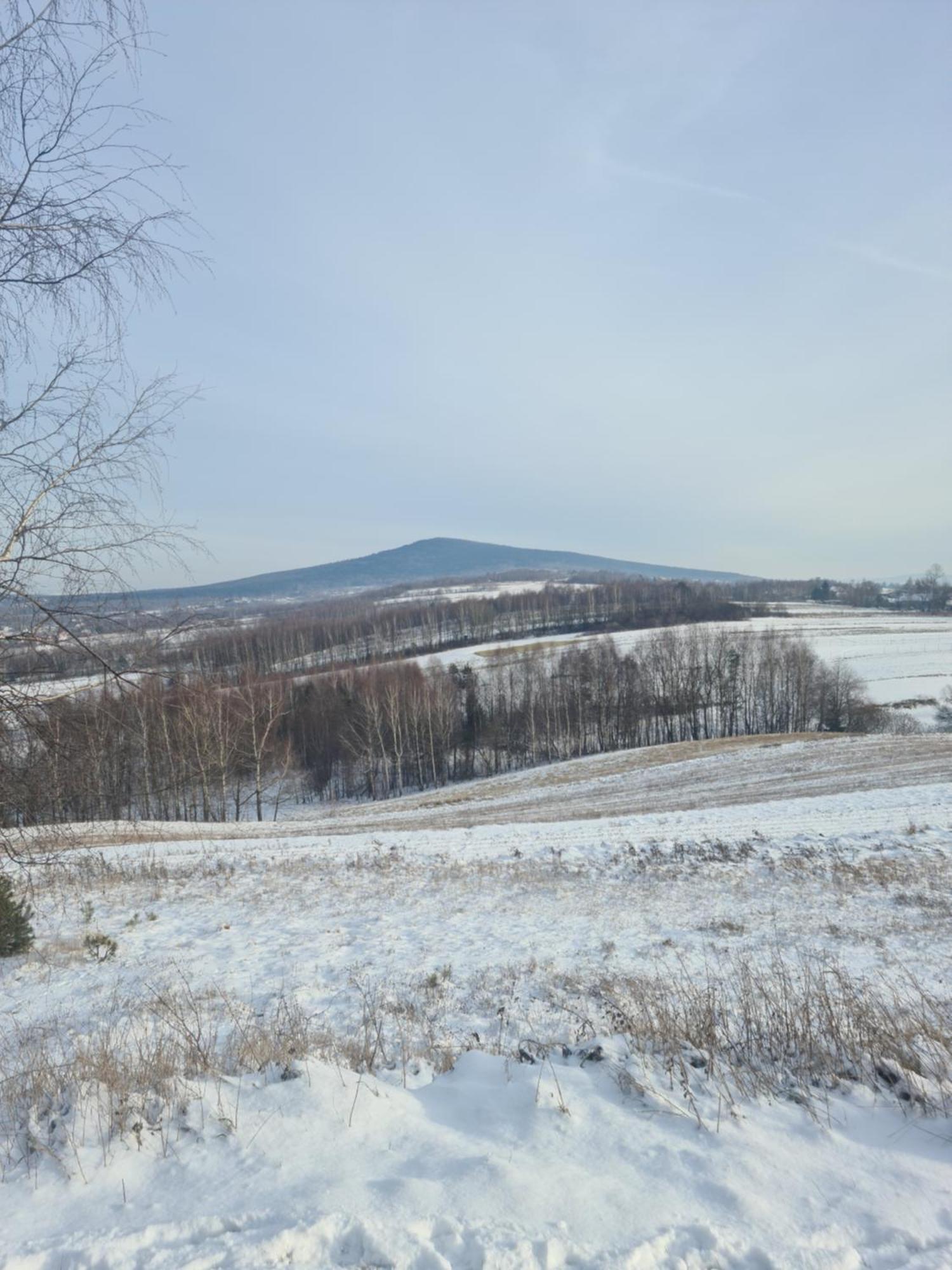 Gorskie Zacisze U Marzeny * Krajno Pierwsze